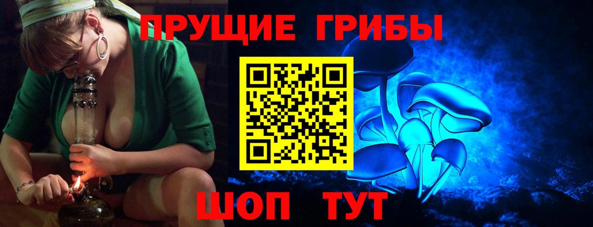 Псилоцибиновые грибы Cubensis Пыть-Ях